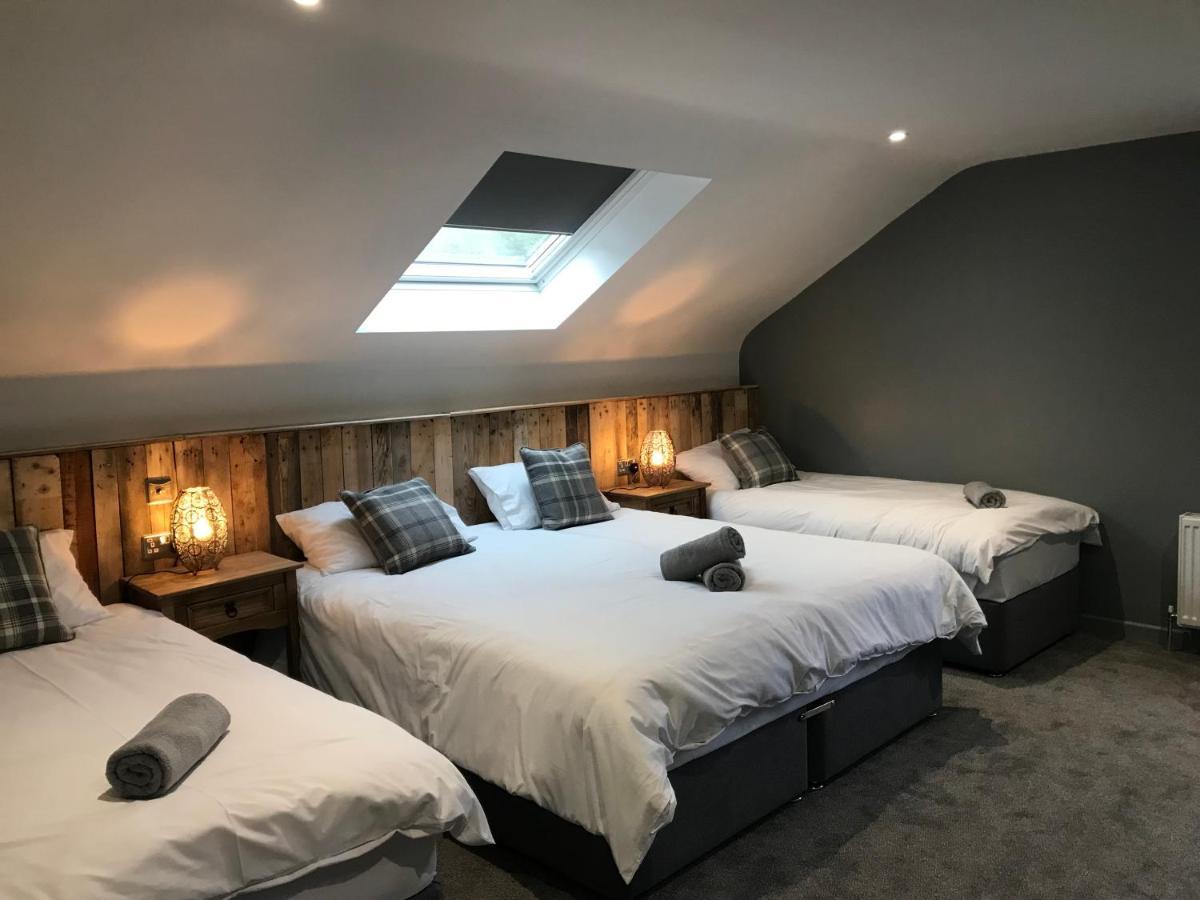 Rostrevor Mountain Lodge - Glamping Pods - Revive Sauna & Hot Tubs מראה חיצוני תמונה